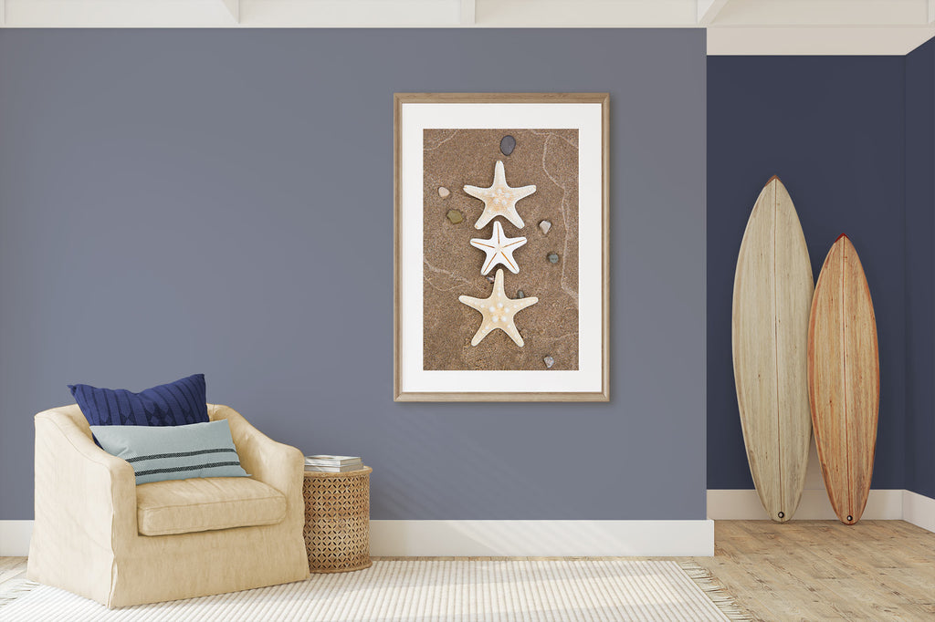 neutral and blue living room, neutral coastal art, neutral beach art, starfish art, earth tone and blue, artwork