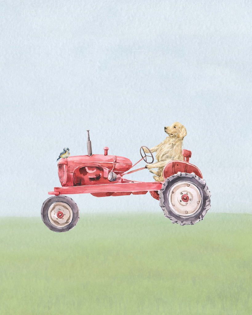 red tractor, farm, dog, golden retriever, whimsical, dog driving tractor, watercolor, art, print, set of 3