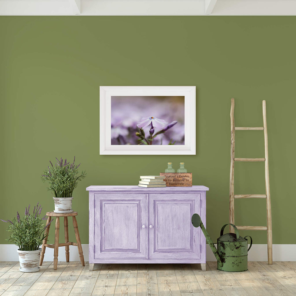 lavender and sage art color, purple floral art, purple and green, porch, entry, mudroom, Sherwin Williams Leapfrog, Sherwin Williams Rhapsody Lilac, she shed decor