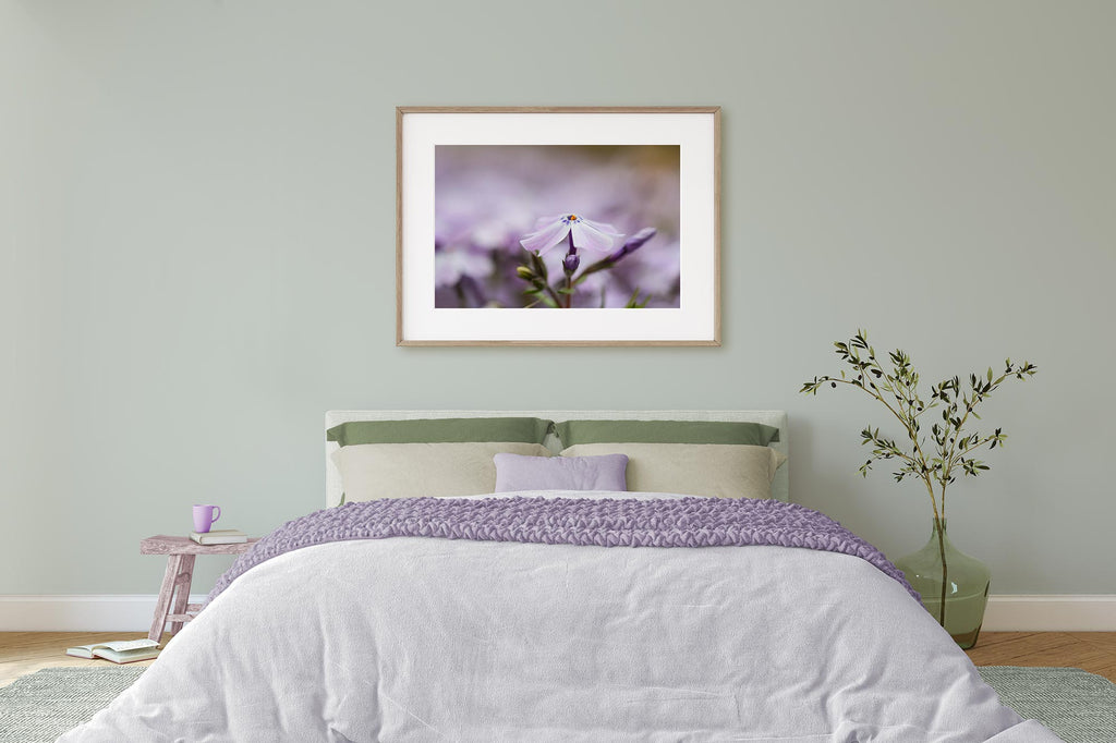 calm bedroom ideas, calm bedroom colors, lavender and sage, light purple, floral photography, floral painting, Sherwin Williams Sea Salt 