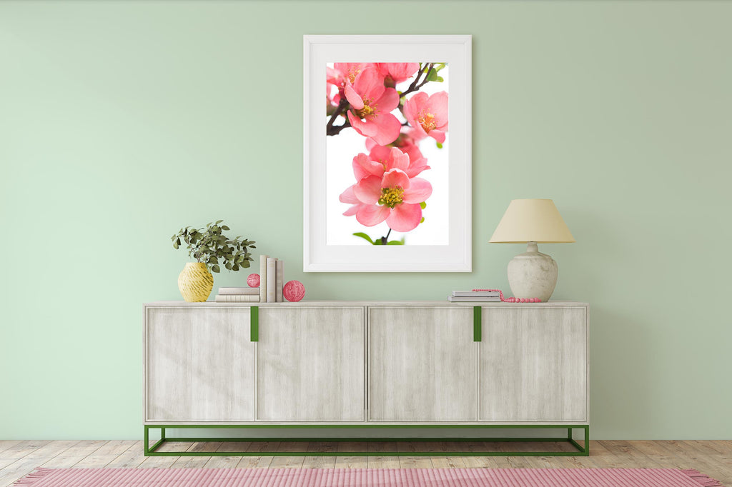 Sherwin Williams Topiary Tint walls, green and coral, bedroom, living room, spring decor, spring art, quince flowers, spring photography