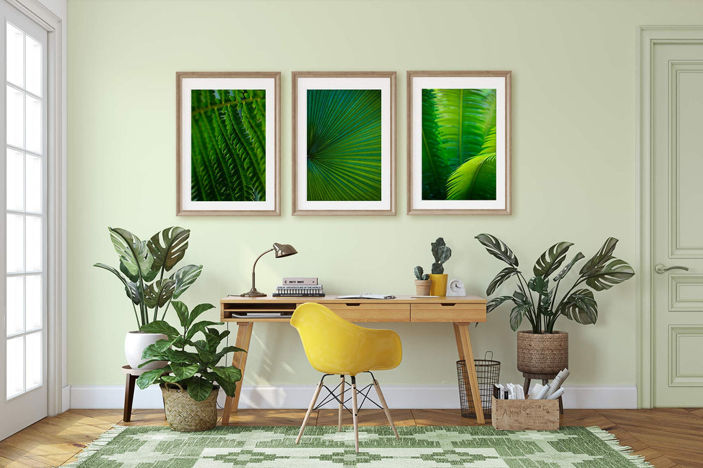 boho, home office, study space, nature inspired, green and yellow room, set of 3, set of three, botanical art prints, tropical, beach boho, decorating with house plants