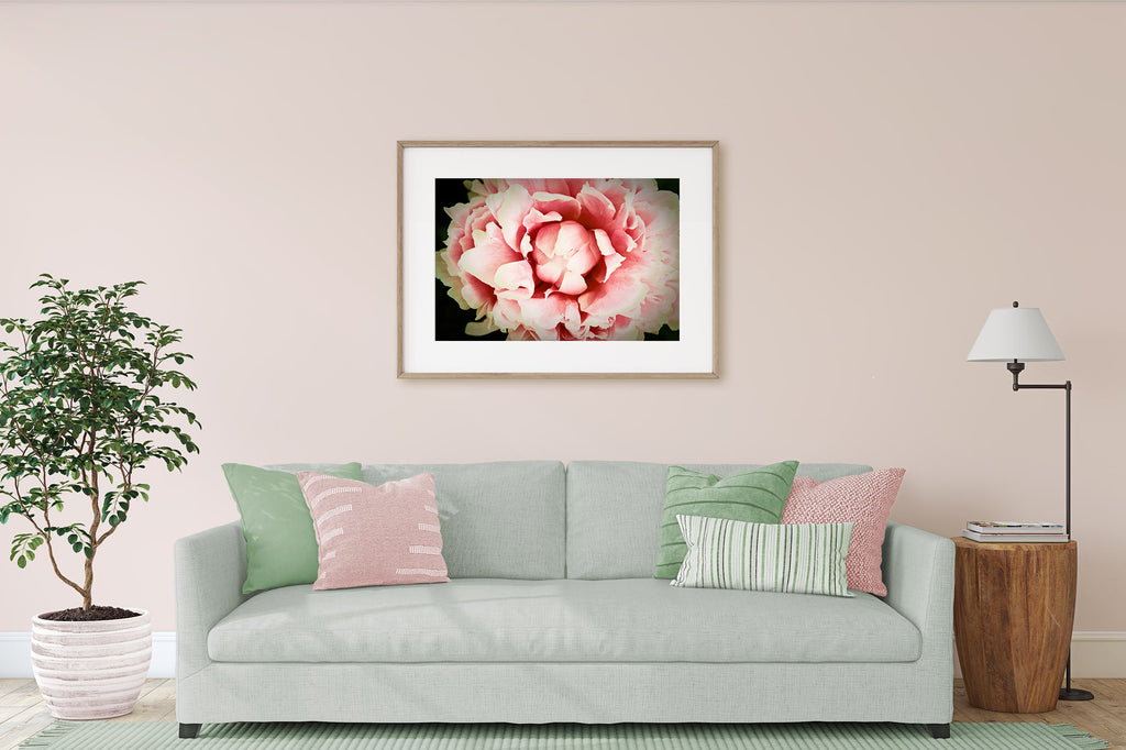 peach peony art print, Sherwin Williams Cotton Candy, light pink living room walls, light pink and sage green living room decor, 