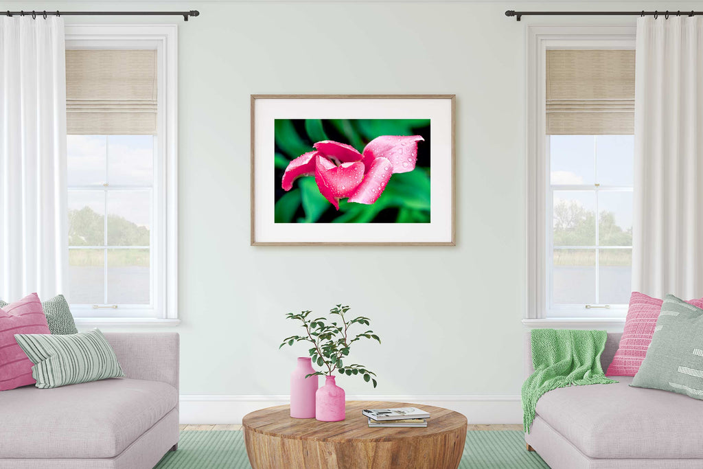 neutral with a pop of color living room, pink and green living room, spring decor for living room, spring art, tulip photography