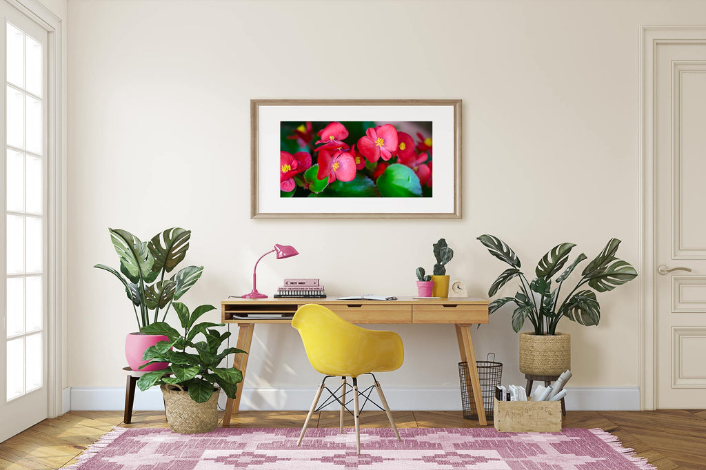 boho, home office, neutral with a pop of color, hot pink, yellow, cheerful, office decor, ideas, tropical flowers, photography, photographic art, art over desk