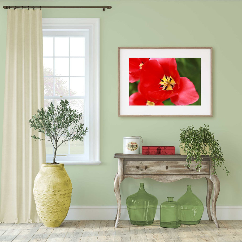 red tulip artwork, modern farmhouse spring decor, antique and modern living room, colorful farmhouse decor