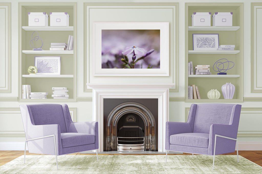 sage and lavender living room art, art over fireplace, built in bookcases next to fireplace, Sherwin Williams, Glacier Bay, Softened Green, Rhapsody Lilac, fine art flower photography, purple flower art