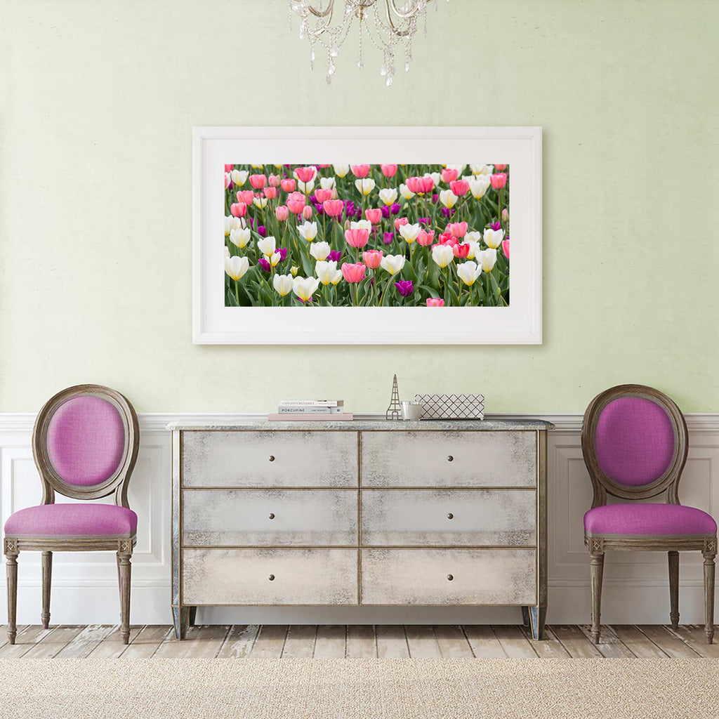 Parisian chic, bedroom decor, white, pink, purple, floral art, tulip painting, tulip photography