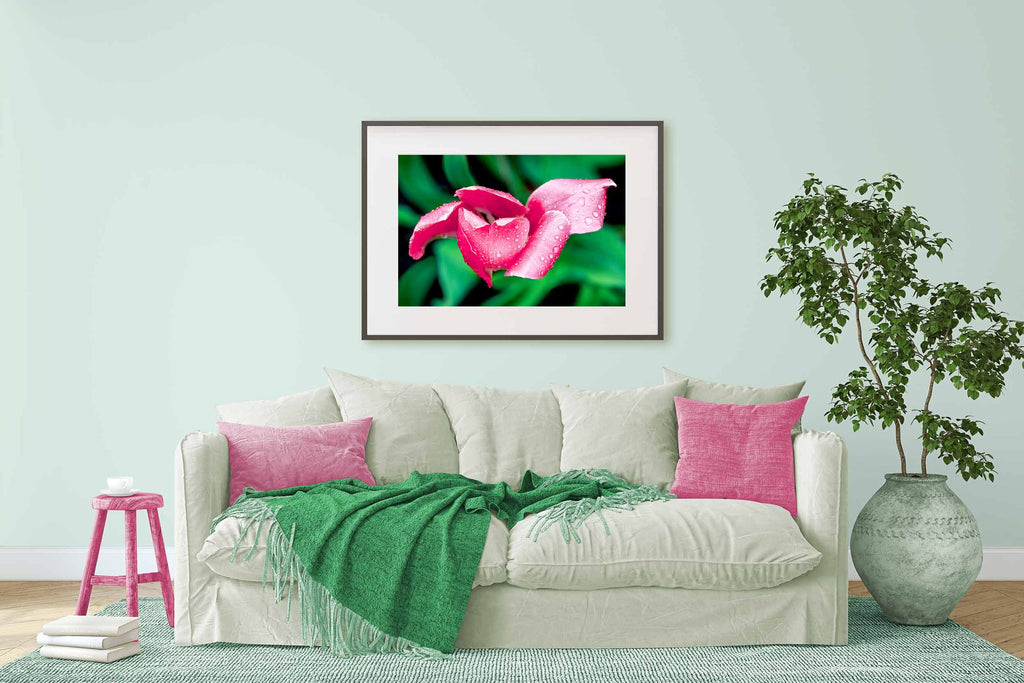 Sherwin Williams Embellished Blue wall color, Sherwin Williams Eros Pink, painted wood furniture, pink and green living room, spring decor, tulip art