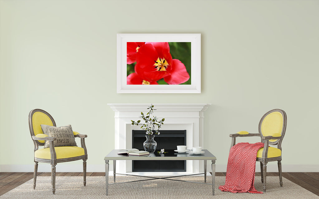 red tulip artwork, close up photo of tulip, antique and modern living room, red and yellow living room,  colorful  traditional living room