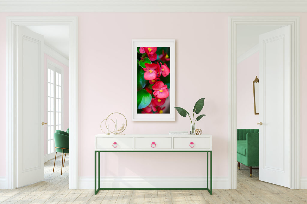 pale pink walls, pink and green, feminine, girly, bedroom, entry, living room, decor ideas, neutral with a pop of color, modern beach house, tropical art, hot pink, begonias, tropical flower art