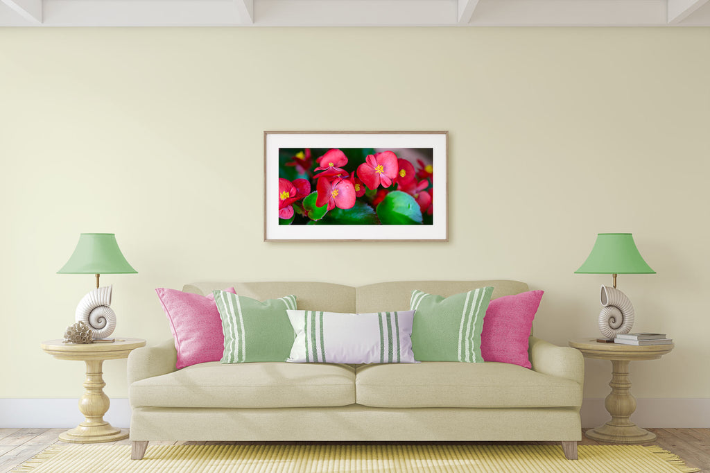coastal style living room, art over, art above, sofa, couch, neutral with a pop of color, pink and green, tropical flower art, begonias, colorful coastal, tropical art