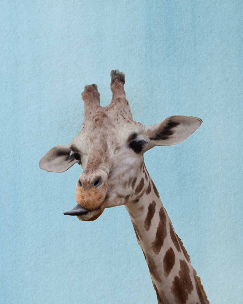watercolor, giraffe