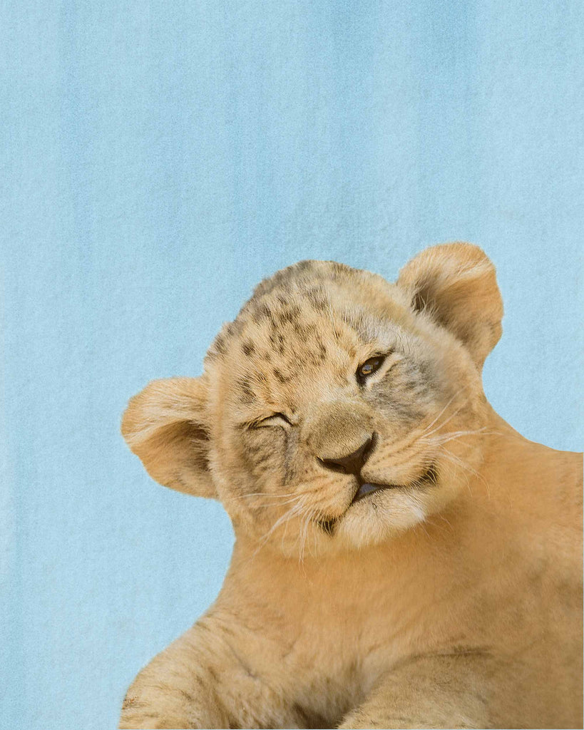 watercolor, lion cub