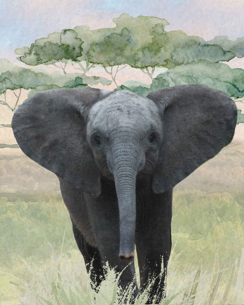 cute, baby elephant, watercolor, art, safari, animals