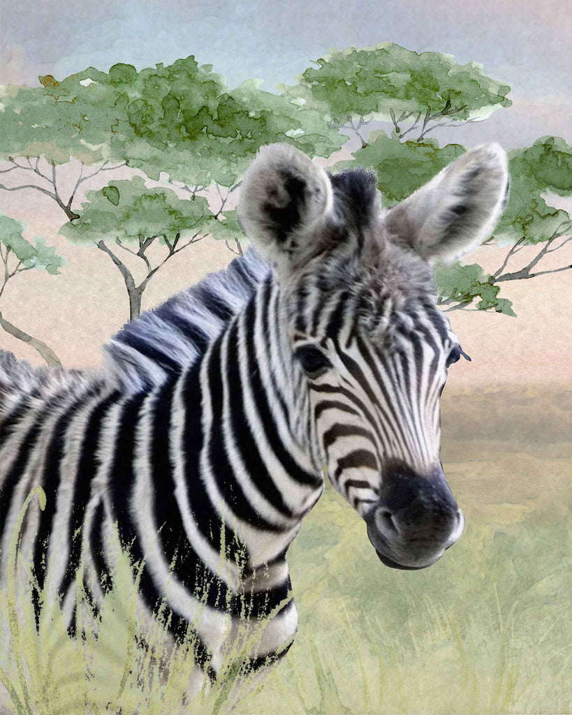 watercolor, zebra, African, savanna